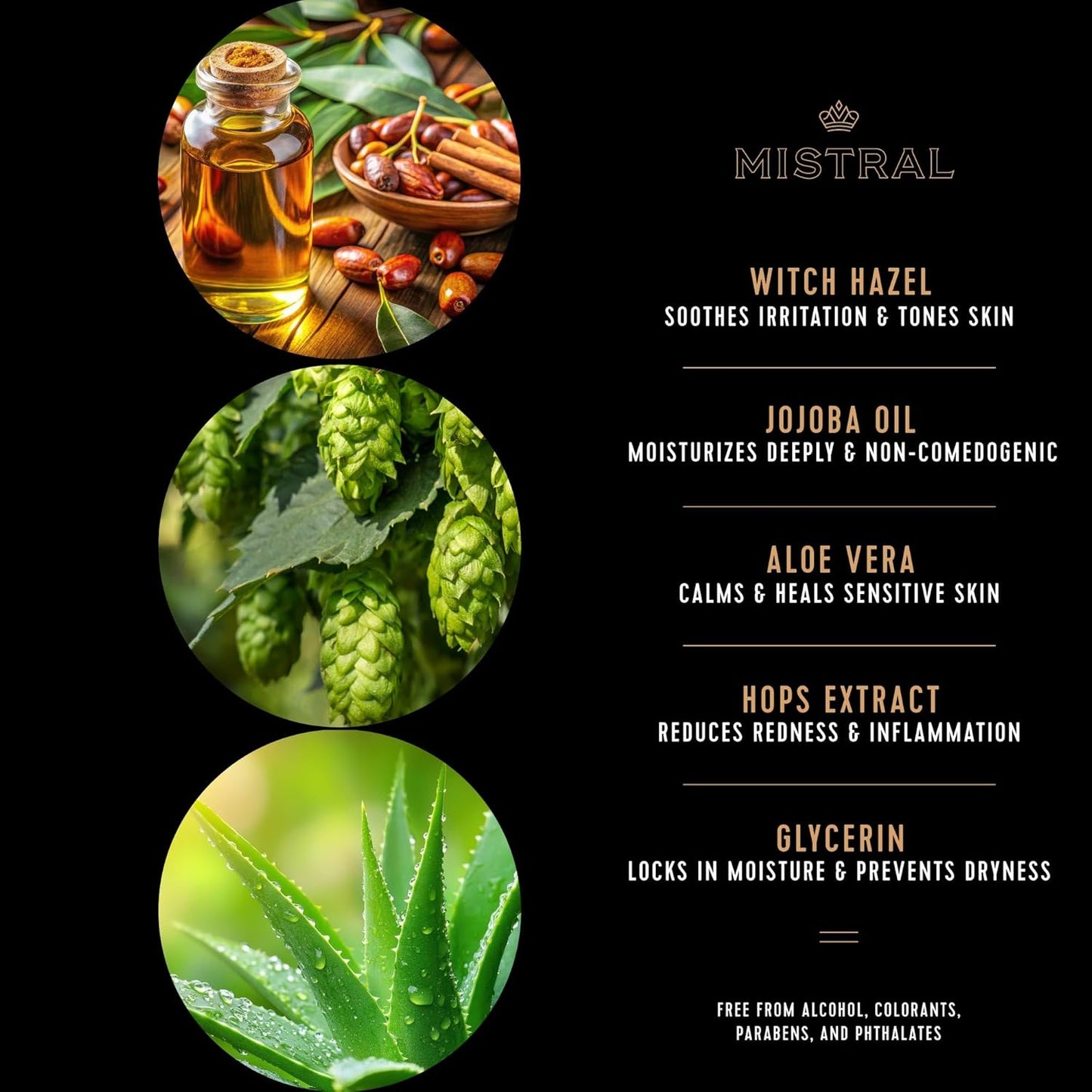 Mistral Salted Gin Shaving Cream for Men | Smooth Triple Layered Foam | Men’s Shave Cream with Organic Plant Extracts | pH-balanced, Phthalates & Paraben-Free | Made in USA. 9oz Tub